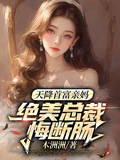 天降首富親媽，絕美總裁悔斷腸