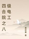 四合院之八級電工