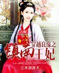 穿越良緣之鎮南王妃