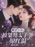 換老公后，被桀驁太子爺撩紅溫