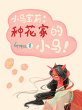 小馬寶莉：種花家的小馬？！