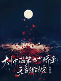 大帥的第九個嬌妻：無底線的寵