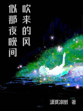 似那夜晚間吹來的風