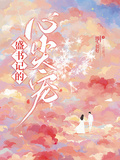 盛書記的心尖寵