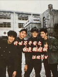 許世界平安之白色橄欖樹