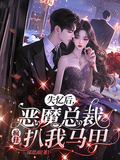 失憶后，惡魔總裁瘋狂扒我馬甲