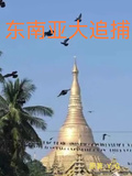東南亞大追捕