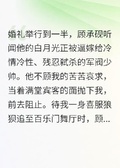 他為白月光悔婚，我閃婚冷麵少帥