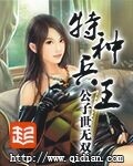 特種兵王