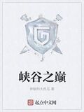 峽谷之巔
