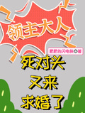 領主大人，死對頭又來求婚了