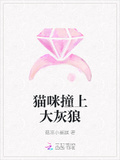 貓咪撞上大灰狼