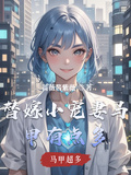 替嫁小寵妻馬甲有點多