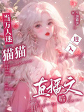 當萬人迷貓貓進入直播文後