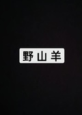 野山羊