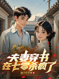 夫妻穿書，在七零殺瘋了