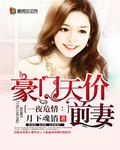 一夜危情：豪門天價前妻