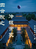 四合院之冷眼旁觀