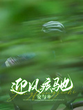 迎風疾馳