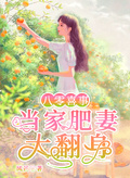 八零喜事：當家肥妻大翻身