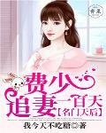 名門天后：費少追妻一百天