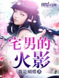 宅男的火影
