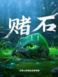 賭石！！