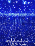 一日看盡長安花