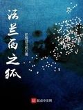 法蘭西之狐