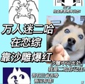 萬人迷二哈在戀綜靠沙雕爆紅