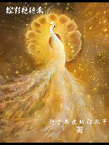 綜影視穗禾
