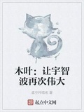 木葉：讓宇智波再次偉大