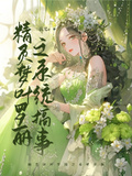 精靈夢葉羅麗之系統搞事