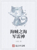 海賊之海軍雷神