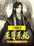 三國之至尊系統