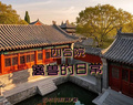 四合院，禽獸的日常