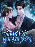 命中注定：你是我的救贖
