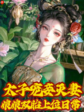 太子寵妾滅妻，娘娘雙胎上位日常