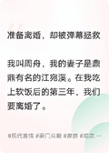 預備離婚，卻被彈幕拯救