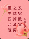重生四合院之踹掉渣男發家致富