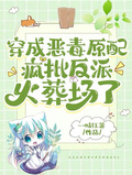 穿成惡毒原配，瘋批反派火葬場了