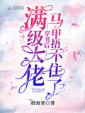 滿級大佬穿書後馬甲捂不住了
