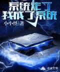 系統炸了，我成了系統（快穿之我成了系統）