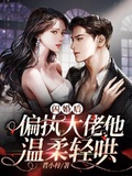 閃婚後，偏執大佬他溫柔輕哄