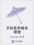王妃在京城當團寵