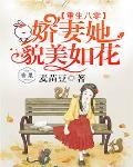 重生八零：嬌妻她貌美如花