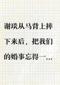 將軍他正宮的名分，小三的做派