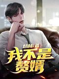 我不是贅婿