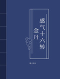 感氣十六轉金丹