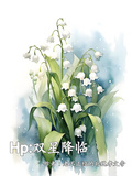 Hp雙星降臨